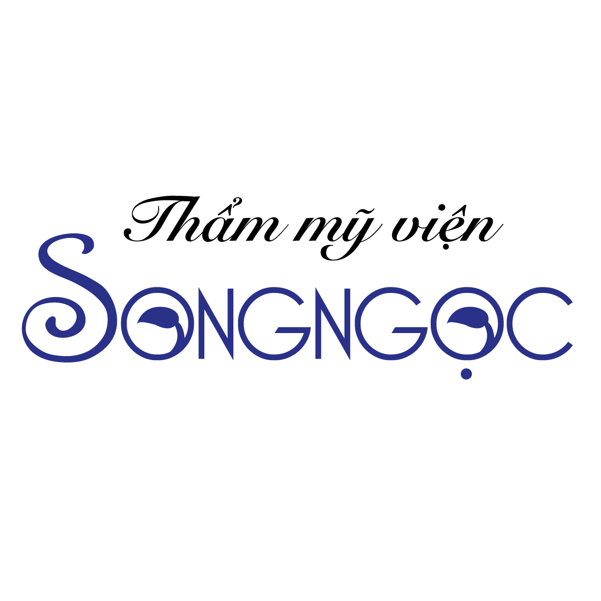 logo-song-ngoc-footer